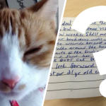 kot kartka na szyi ujawniono treść listu