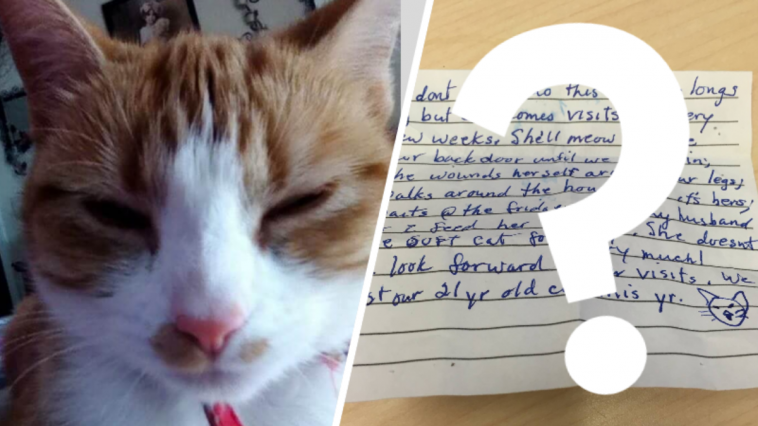 kot kartka na szyi ujawniono treść listu