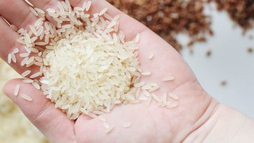 woda po ryżu na włosy na twarz właściwości zastosowanie