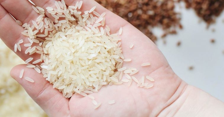 woda po ryżu na włosy na twarz właściwości zastosowanie