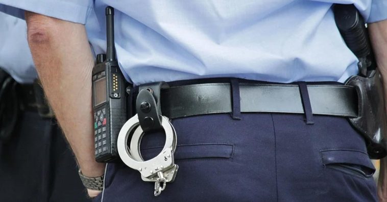 konfiskata samochodu rzad pis rozporządzenie obronność