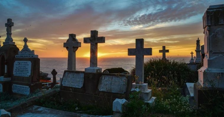 ustawa o cmentarzach projekt