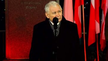 marcin palade twitter kaczynski sondaż