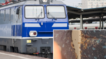 pkp intercity pluskwy odkrycie fotele brud