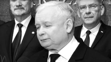 kaczyński poparcie pis ibris sondaż