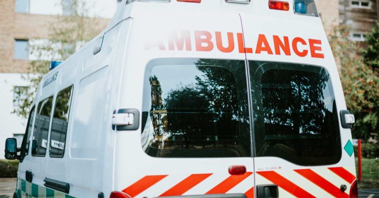 gilewicz nokaut disco-polo pobicie