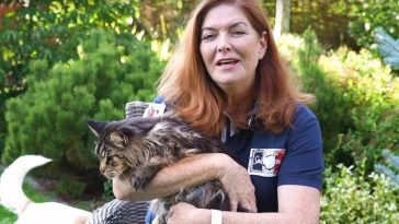 katarzyna dowbor emerytura