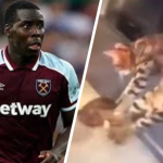 piłkarz kopie kota kurt zouma nagranie