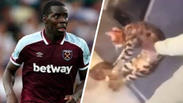 piłkarz kopie kota kurt zouma nagranie