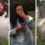 przekaz z zaświatów prochy