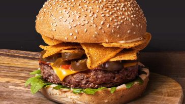 burger hambuger różnice