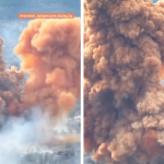 czerwony grzyb nad ukrainą