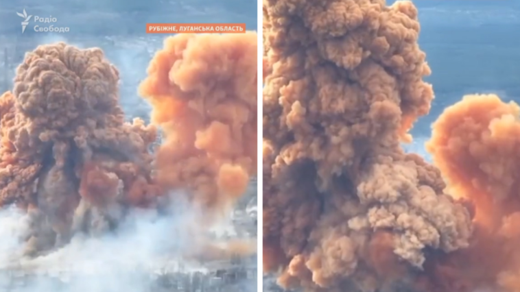 czerwony grzyb nad ukrainą