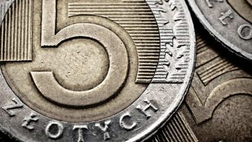 kaufland 5 zł za stanie w kolejce