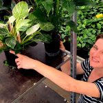 dzien matki 2022 prezent zyczenia niebanalne