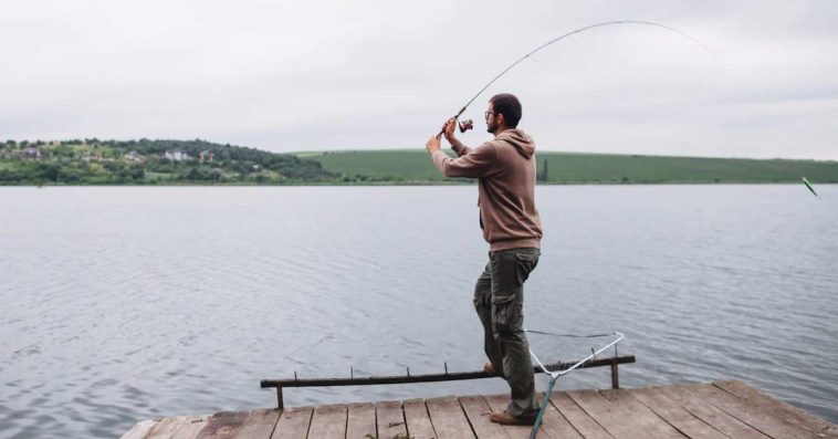 sztuczne muchy na zamówienie