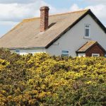 ceeb deklaracja do kiedy kara