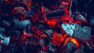 dopłaty do węgla dla kogo