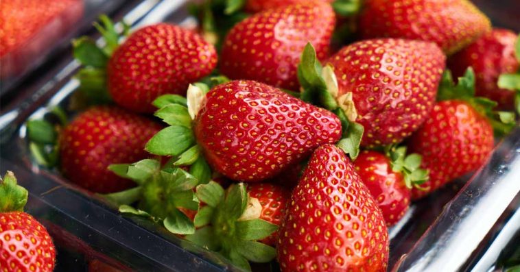 jak myć truskawki opłukanie nie wystarczy