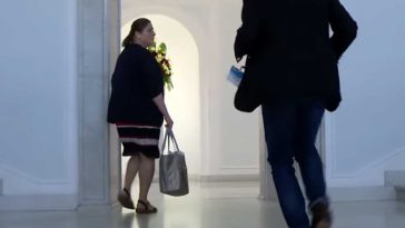 krystyna pawłowicz czy jest profesorem