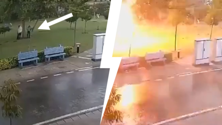 burza stanie pod drzewem skutki