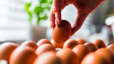 kto nie może jeść jajek