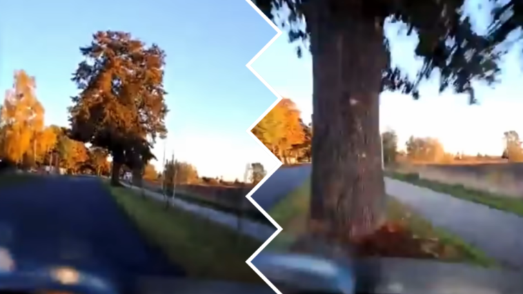 sadol trzcianka mariusz lepak live