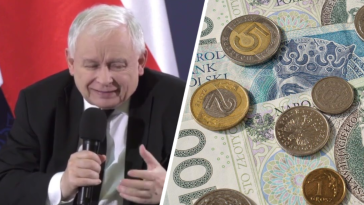 dawać w szyje kaczyński