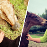 katarzyna jasińska córka maryli rodowicz