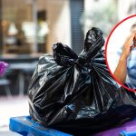 segregacja śmieci kolory