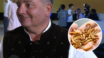 robaki w jedzeniu makłowicz