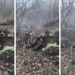 rosjanie rozstrzelali jeńca film