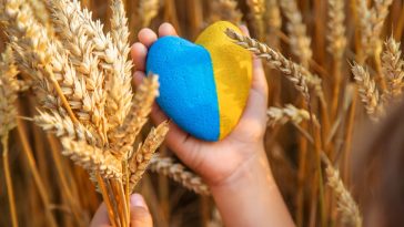 zboże techniczne co to