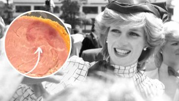 księżna diana na szynce