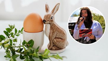 anna wardak młoda lewica