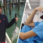 alergia na orzechy objawy co robić