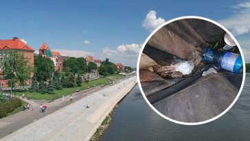 toruń kości bulwar filadelfijski