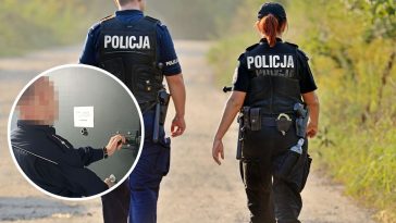 wynajem cudzego mieszkania