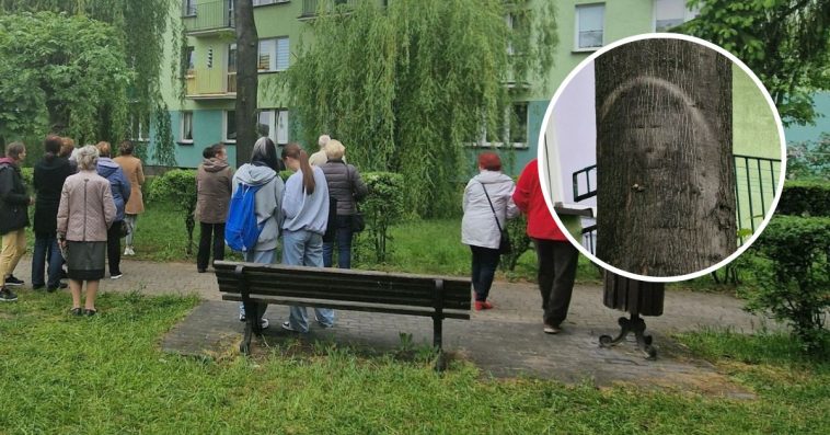 cud w parczewie objawienie