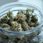 klinika konopna medyczna mariuhana apteka