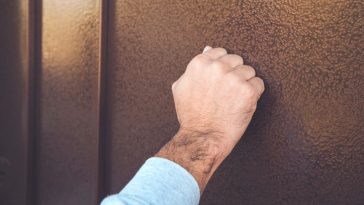 kontrola deklaracji ceeb