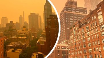 nowy jork smog żółty dym z kanady