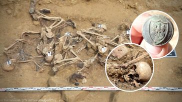 górki czechowskie ipn