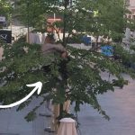 straż miejsca poznań zgłoszenie