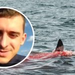 rosjanin zjedzony przez rekina film