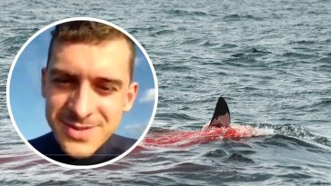 rosjanin zjedzony przez rekina film