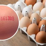 symbole na jajkach co oznaczają