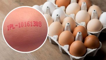 symbole na jajkach co oznaczają