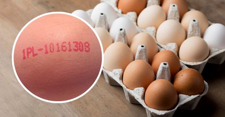 symbole na jajkach co oznaczają