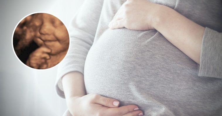 czy dziecko w łonie matki sika